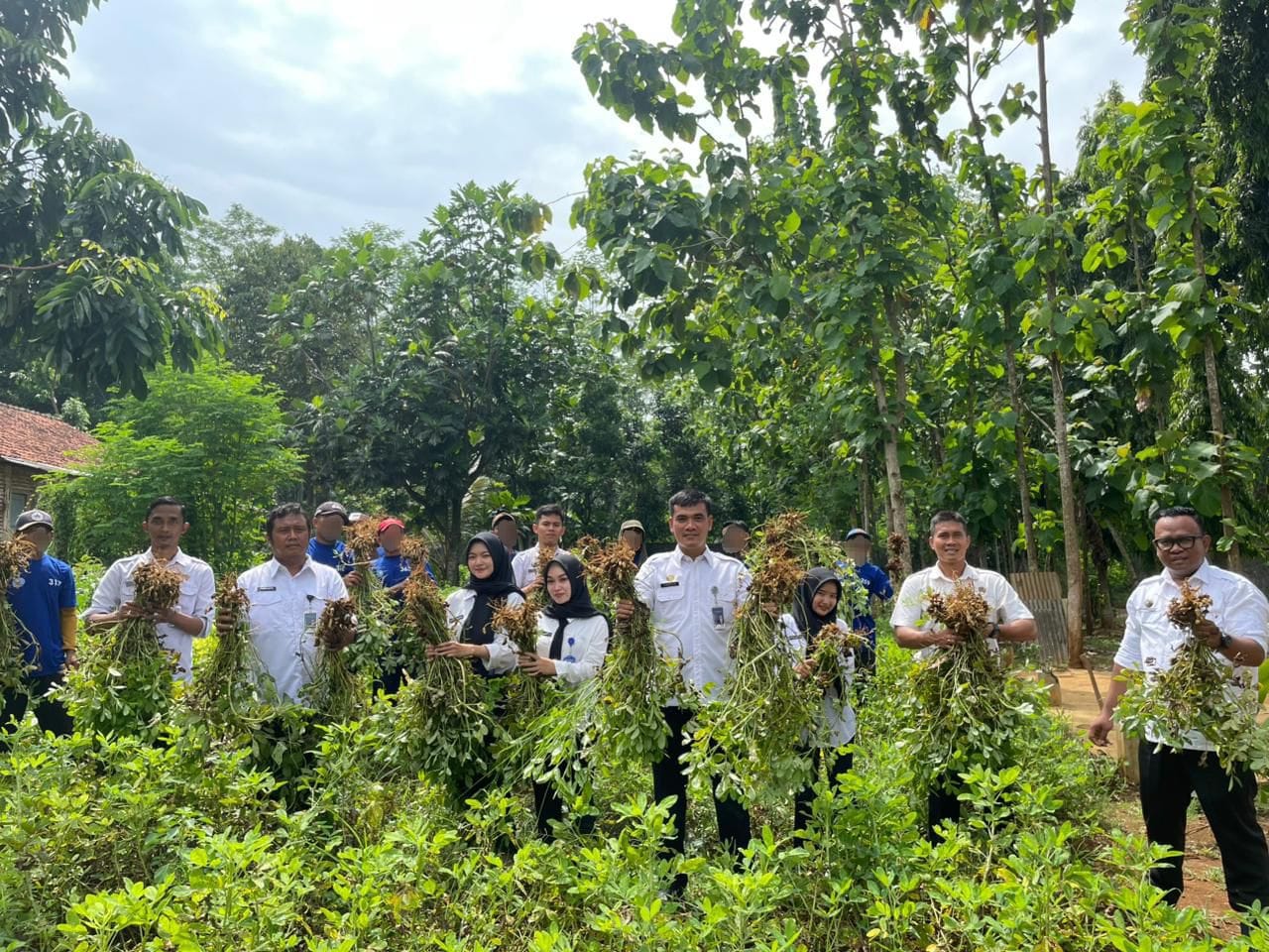 Pembinaan Kemandirian dan Ketahanan Pangan, Lapas Batang Panen Kacang Tanah Bersama Warga Binaan dan Peserta Magang