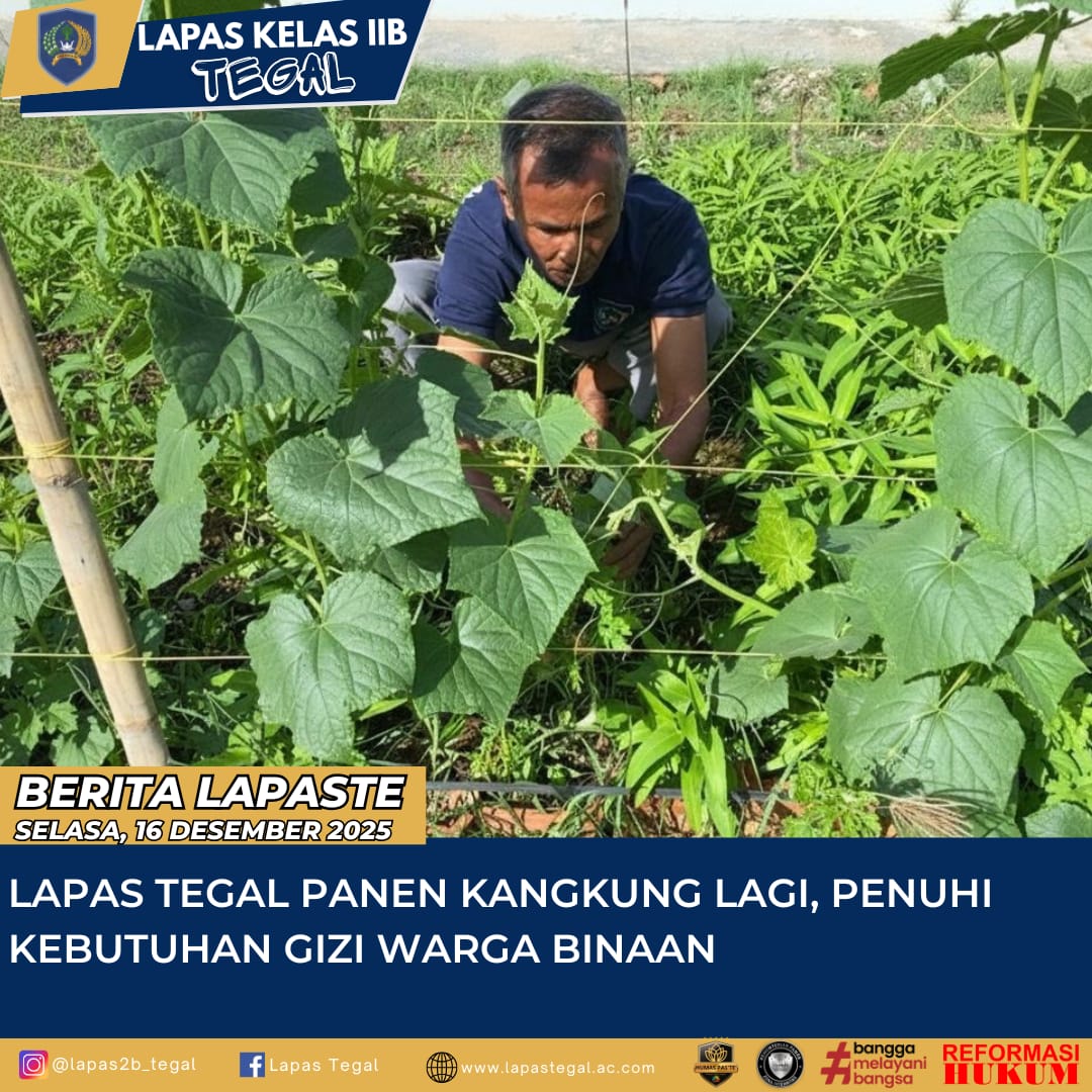 Lapas Tegal Panen Kangkung Lagi, Penuhi Kebutuhan Gizi Warga Binaan