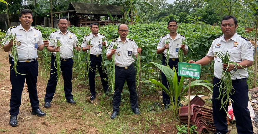 Dukung Ketahanan Pangan, Lapas Batang Gelar Panen Kacang Panjang di Lahan SAE