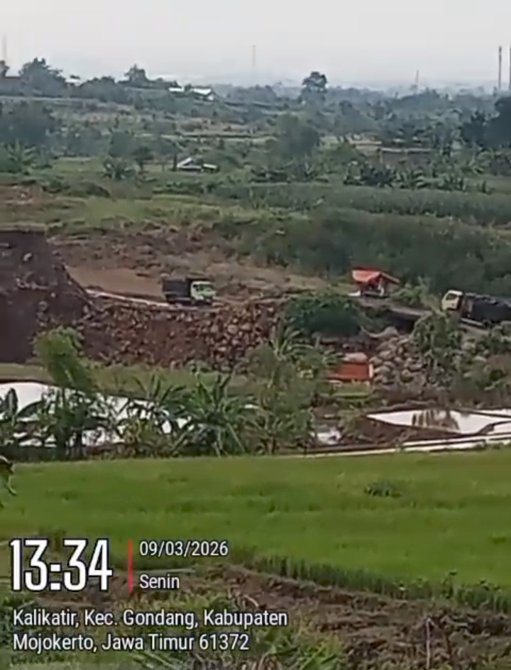 Petani Padi Khawatir Lahan Rusak Gegara Tambang Galian C dan Diduga Tanpa Ijin Yang lengkap di Desa Kalikatir Mojokerto
